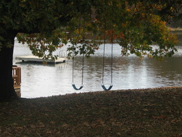 2006 11-Mom and Dads House Swings